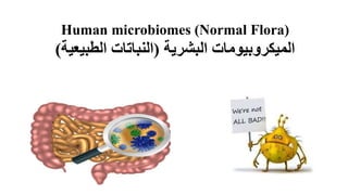 (Normal Flora)
Human microbiomes
‫الميكروبيومات‬
‫البشرية‬
(
‫النباتات‬
‫الطبيعية‬
)
 