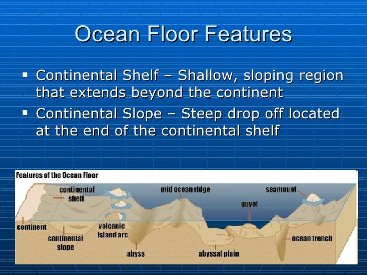 5. Ocean Geography Notes