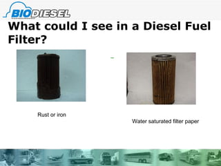 What could I see in a Diesel Fuel Filter? Rust or iron Water saturated filter paper 