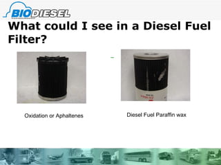 What could I see in a Diesel Fuel Filter? Oxidation or Aphaltenes Diesel Fuel Paraffin wax 