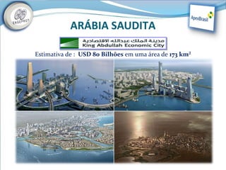 ARÁBIA SAUDITA

Estimativa de : USD 80 Bilhões em uma área de 173 km²
 