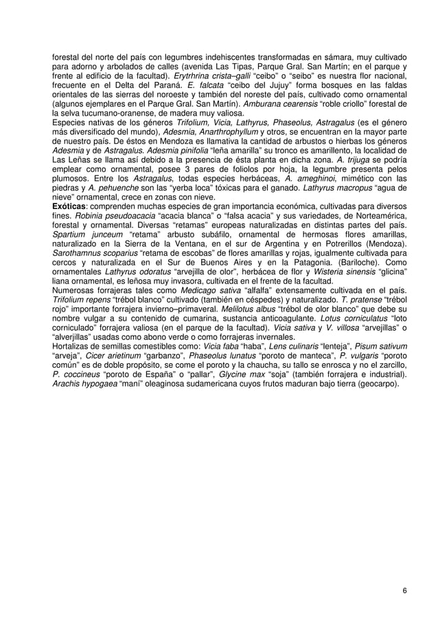 5. Orden Rosales PDF