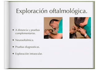 Exploración oftalmológica.

• A distancia y pruebas
  complementarias.

• Neurooftalmica.

• Pruebas diagnosticas.

• Exploración intraocular.
 