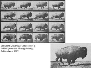 Eadweard Muybridge, Sequence of a
buffalo (American bison) galloping.
Publicada em 1887.
 