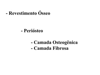- Revestimento Ósseo


      - Periósteo

           - Camada Osteogênica
           - Camada Fibrosa
 