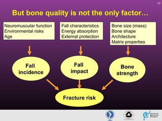 39

But bone quality is not the only factor…
Neuromuscular function
Environmental risks
Age

Fall
incidence

Fall characteristics
Energy absorption
External protection

Fall
impact

Fracture risk

Bone size (mass)
Bone shape
Architecture
Matrix properties

Bone
strength

 