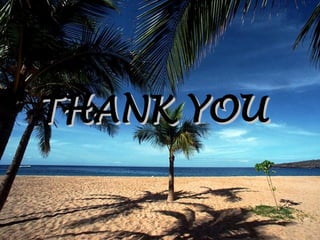 THANK YOU
THANK YOU
 