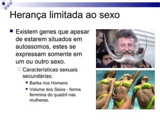 Herança limitada ao sexo
   Existem genes que apesar
    de estarem situados em
    autossomos, estes se
    expressam somente em
    um ou outro sexo.
     Características    sexuais
      secundárias:
          Barba nos Homens
          Volume dos Seios - forma
           feminina do quadril nas
           mulheres.
 
