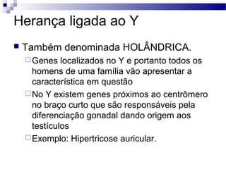 Herança ligada ao Y
   Também denominada HOLÂNDRICA.
     Genes   localizados no Y e portanto todos os
      homens de uma família vão apresentar a
      característica em questão
     No Y existem genes próximos ao centrômero
      no braço curto que são responsáveis pela
      diferenciação gonadal dando origem aos
      testículos
     Exemplo: Hipertricose auricular.
 