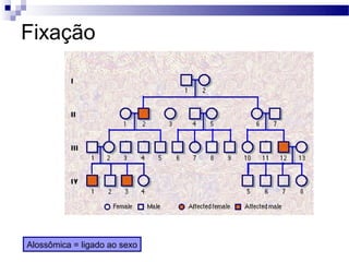 Fixação




Alossômica = ligado ao sexo
 