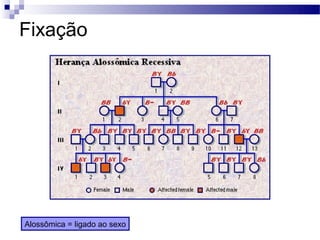 Fixação




Alossômica = ligado ao sexo
 