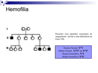 Hemofilia Pacientes com episódios recorrentes de sangramento , devido a uma deficiência no Fator VIII. Homem Normal:  X H Y Mulher Normal:  X H X H   ou  X H X h Homem hemofílico:  X h Y Mulher hemofílica:  X h X h 