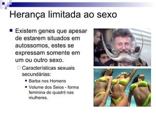 Herança limitada ao sexo Existem genes que apesar de estarem situados em autossomos, estes se expressam somente em um ou outro sexo. Características sexuais secundárias: Barba nos Homens Volume dos Seios - forma feminina do quadril nas mulheres. 