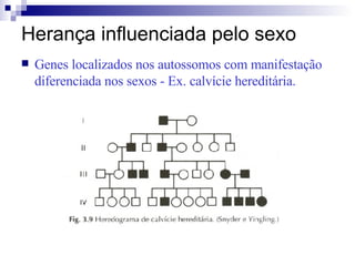 Herança influenciada pelo sexo Genes localizados nos autossomos com manifestação diferenciada nos sexos - Ex. calvície hereditária. 