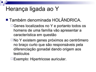 Herança ligada ao Y Também denominada HOLÂNDRICA. Genes localizados no Y e portanto todos os homens de uma família vão apresentar a característica em questão   No Y existem genes próximos ao centrômero no braço curto que são responsáveis pela diferenciação gonadal dando origem aos testículos   Exemplo: Hipertricose auricular . 