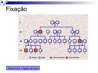 Fixação Alossômica = ligado ao sexo 
