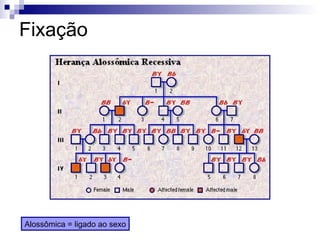 Fixação Alossômica = ligado ao sexo 