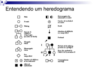 Entendendo um heredograma 
