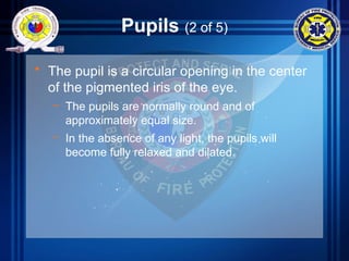 Pupils (2 of 5)
• The pupil is a circular opening in the center
of the pigmented iris of the eye.
– The pupils are normally round and of
approximately equal size.
– In the absence of any light, the pupils will
become fully relaxed and dilated.
 