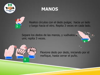 MANOS
3
Realice círculos con el dedo pulgar, hacia un lado
y luego hacia el otro. Repita 3 veces en cada lado.
4
Separe los dedos de las manos, y vuélvalos a
unir, repita 3 veces.
Flexione dedo por dedo, iniciando por el
meñique, hasta cerrar el puño.
5
 