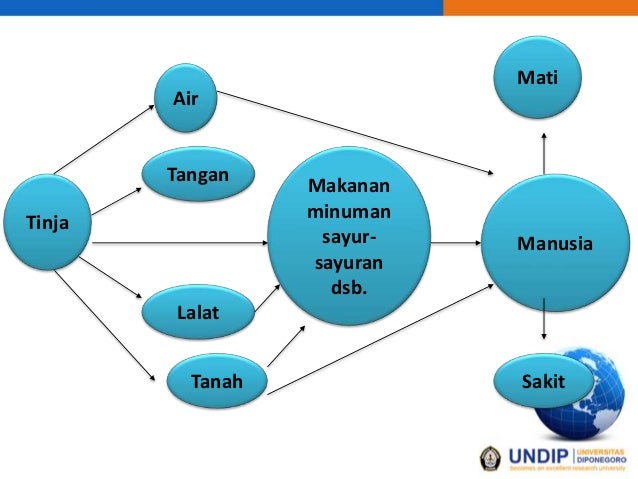 Penyebaran penyakit melalui tinja Koass IKM Jepara 2014