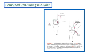 5-Peripheral Joint Mobilization.pptx