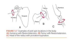 5-Peripheral Joint Mobilization.pptx