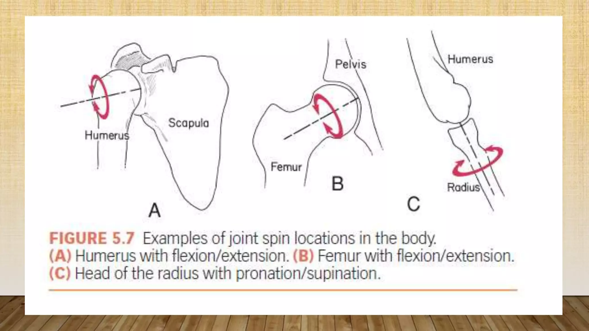 5-Peripheral Joint moblization and manipulation.pptx