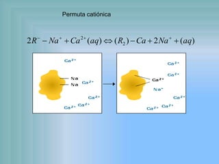 Permuta catiónica
)(2)()(2 2
2
aqNaCaRaqCaNaR  
 