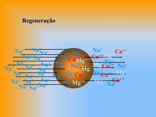 Regeneração
Na+
Na+
Na+
Na+
Na+
Na+ Na+
Na+
Na+
Na+ Na+
Na+
Na+
Na+Na+
Na+
Na+
Na+
Na+
Na+
Na+
Na+
Na+
Na+
Na+
Na+
Ca++
Ca++
Ca++
Ca++
Ca++
Ca++
Ca++
Mg++
Mg++
Mg++
Mg++
Mg++
Mg++
Mg++
Na+
Na+
Na+
Na+
Na+
 