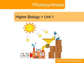 Photosynthesis Higher Biology > Unit 1 SQA HIGHER BIOLOGY 