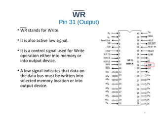 WR
Pin 31 (Output)
• WR stands for Write.
• It is also active low signal.
• It is a control signal used for Write
operation either into memory or
into output device.
• A low signal indicates that data on
the data bus must be written into
selected memory location or into
output device.
18
 