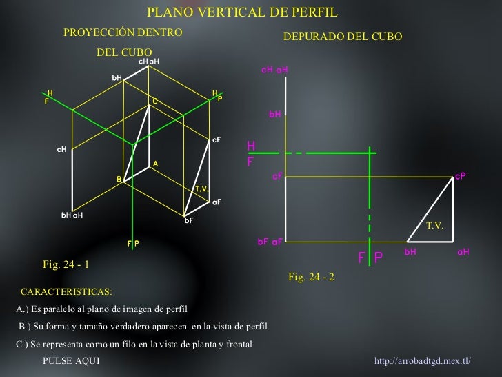5. plano vertical de perfil