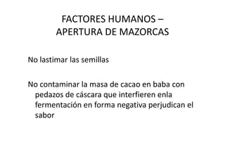 FACTORES HUMANOS –
APERTURA DE MAZORCAS
No lastimar las semillas
No contaminar la masa de cacao en baba conNo contaminar la masa de cacao en baba con
pedazos de cáscara que interfieren enla
fermentación en forma negativa perjudican el
sabor
 