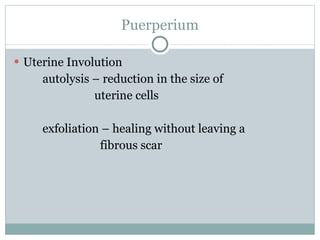 #5 Power point 231 | PPT