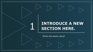 What’s this section about?
INTRODUCE A NEW
SECTION HERE.1
 