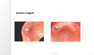 11/09/2025 120
Jackson magnet
 