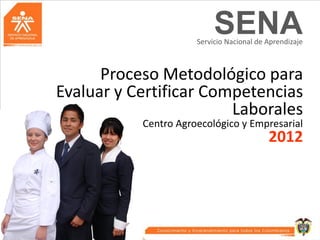 SENA
                      Servicio Nacional de Aprendizaje



      Proceso Metodológico para
Evaluar y Certificar Competencias
                        Laborales
           Centro Agroecológico y Empresarial
                                           2012
 