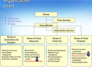 Organization chart 4 Bureaus 19 Divisions 1Team Minister Press Secretary Deputy Minister Administrative Services Bureau of Coordination and Plantation Bureau of Forest Resources Bureau of  Forest Use Bureau of Forest Protection Planning and Finance Administration Management Legislative affairs and Audit Information & Statistics Forest Policy Forest Resources Green Job Promotion Timber Utilization and Product International Cooperation Forest Land Management National Forest Management Forest Recreation & Outdoor Activities Forestry Support  Forest Environment Conservation Urban Forest & Landscape  Forest Fire Control Forest Engineering & Rehabilitation Forest Disease & Pest 
