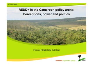 GCS-REDD C1


              REDD+ in the Cameroon policy arena:
                Perceptions, power and politics




                       Félicien KENGOUM DJIEGNI



                                             THINKING beyond the canopy
                                           THINKING beyond the canopy
 