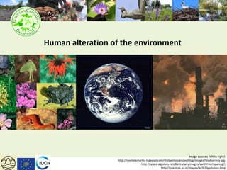 Using green infrastructure to address Global Warming | PDF