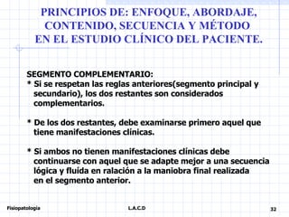 5 Principios De Abordaje Y Enfoque | PPT