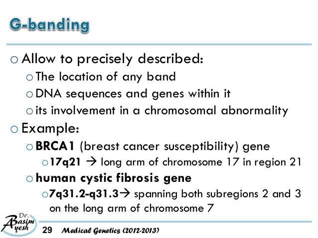 download anticancer drug development guide cancer drug discovery and development