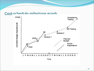 Cost-schedule milestone graph
80
 