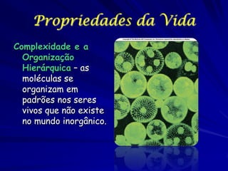 Propriedades da Vida
Complexidade e a
Organização
Hierárquica – as
moléculas se
organizam em
padrões nos seres
vivos que não existe
no mundo inorgânico.

 