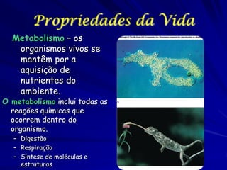 Propriedades da Vida
Metabolismo – os
organismos vivos se
mantêm por a
aquisição de
nutrientes do
ambiente.

O metabolismo inclui todas as
reações químicas que
ocorrem dentro do
organismo.
– Digestão
– Respiração
– Síntese de moléculas e
estruturas

 