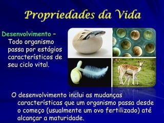 Propriedades da Vida
Desenvolvimento –
Todo organismo
passa por estágios
característicos de
seu ciclo vital.

O desenvolvimento inclui as mudanças
características que um organismo passa desde
o começo (usualmente um ovo fertilizado) até
alcançar a maturidade.

 
