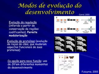 Modos de evolução do
desenvolvimento

Carrol, 2005

Evolução da regulação
(inferido a partir de
conservação de regiões
codificantes). Permite
modularização
Evolução de proteínas (evolução
de raças de cães, que mudaram
aspectos funcionais de suas
proteínas)

Co-opção para nova função: uso
de Dll em diferentes momentos
do desenvolvimento
Futuyma, 2005

 