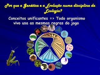 Por que a Genética e a Evolução numa disciplina da
Ecologia?
Conceitos unificantes => Todo organismo
vivo usa as mesmas regras do jogo

 