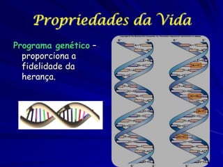 Propriedades da Vida
Programa genético –
proporciona a
fidelidade da
herança.

 